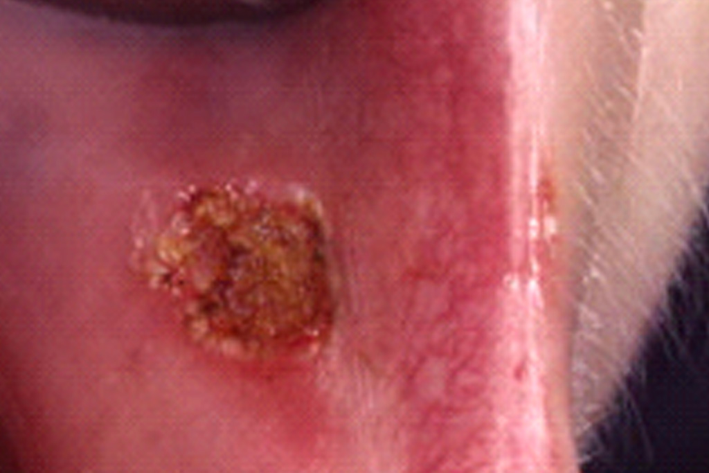 Zustand nach Abtragung mit dem Laser